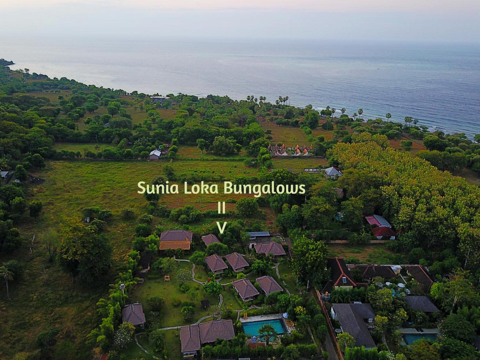 Sunia Loka Bungalows & Dive Center Pemuteran Exterior foto